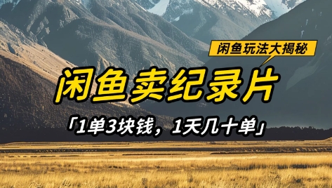 闲鱼卖纪录片1单3块钱，1天几十单，项目稳定有潜力-三月轻创