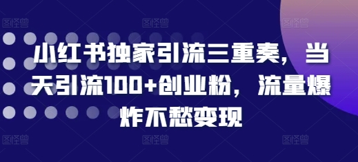 小红书独家引流三重奏，当天引流100+创业粉，流量爆炸不愁变现【揭秘】-三月轻创