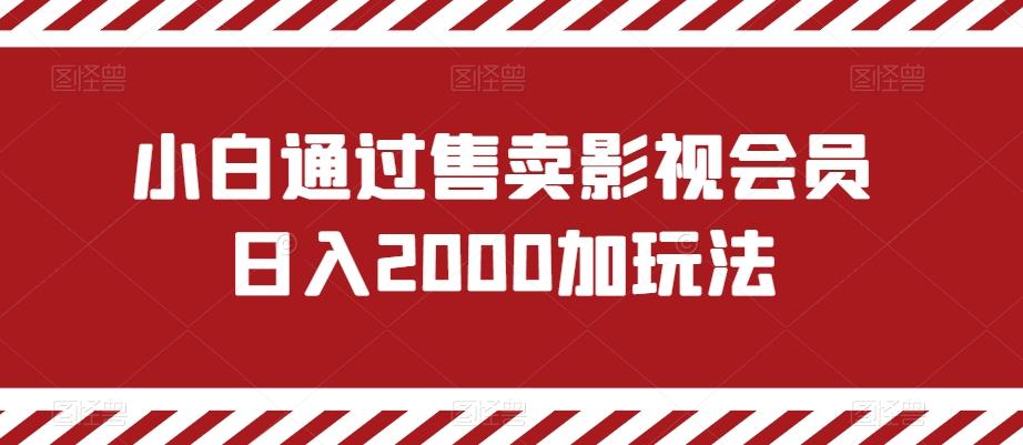 小白通过售卖影视会员日入2000加玩法-三月轻创