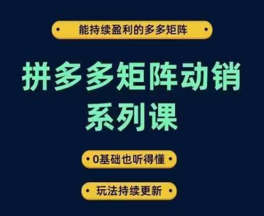 拼多多矩阵动销系列课，能持续盈利的多多矩阵，0基础也听得懂，玩法持续更新-三月轻创