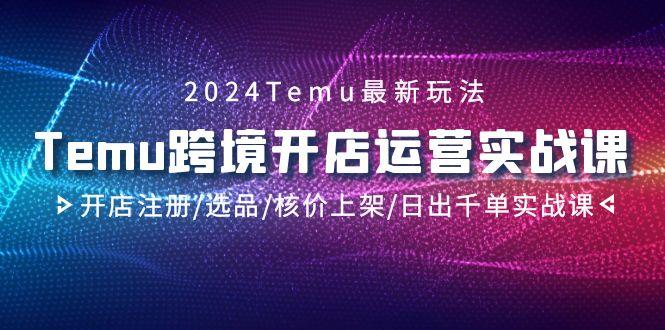 2024Temu跨境开店运营实战课，开店注册/选品/核价上架/日出千单实战课-三月轻创