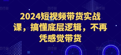 2024短视频带货实战课，搞懂底层逻辑，不再凭感觉带货-三月轻创