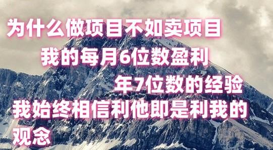 做项目不如卖项目，每月6位数盈利，年7位数经验-三月轻创