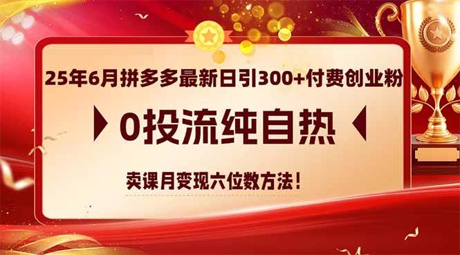 （14989期）25年6月拼多多最新日引300+付费创业粉，0投流纯自热 卖课月变现六位数方法-三月轻创