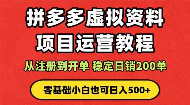 （16220期）拼多多开店运营课程： 蓝海变现玩法，轻松实现睡后收入 零基础小白也可…-三月轻创