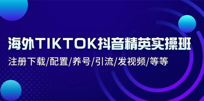 海外TIKTOK抖音精英实操班：注册下载/配置/养号/引流/发视频/等等-三月轻创
