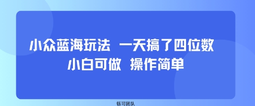 小众蓝海玩法 一天搞了四位数 小白可做 操作简单-三月轻创