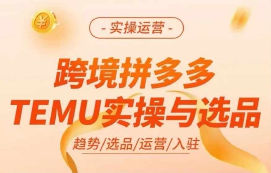 跨境拼多多TEMU实操与选品，多多temu跨境选品运营实操-三月轻创