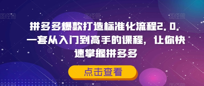 拼多多爆款打造标准化流程2.0，一套从入门到高手的课程，让你快速掌握拼多多-三月轻创
