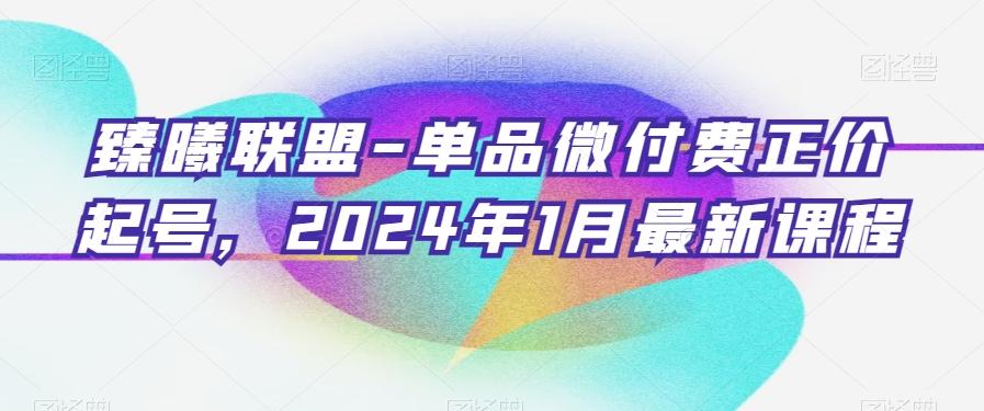 臻曦联盟-单品微付费正价起号，2024年1月最新课程-三月轻创