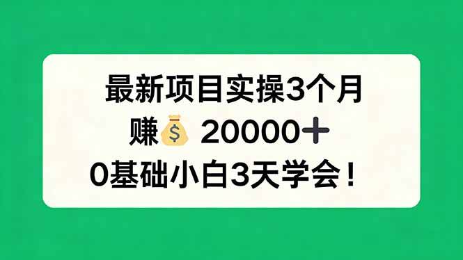 （17856期）最新项目实操3个月，赚钱20000+，0基础小白3天学会！-三月轻创