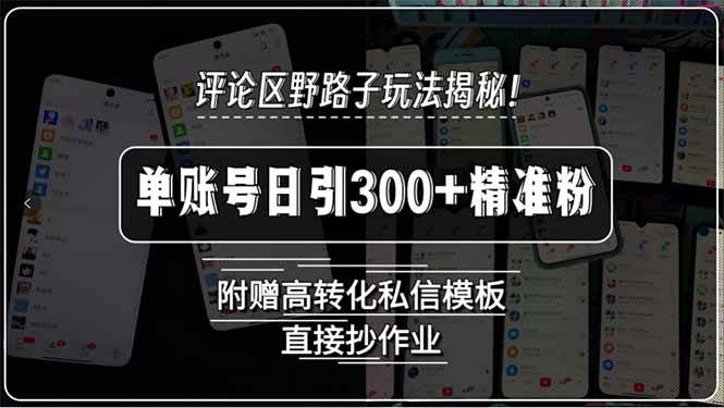 （15466期）评论区野路子玩法揭秘！单账号日引300+精准粉，附赠高转化私信模板，直…-三月轻创
