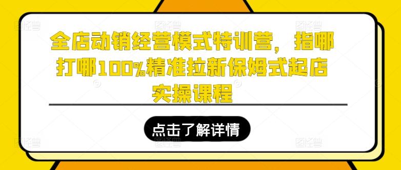 全店动销经营模式特训营，指哪打哪100%精准拉新保姆式起店实操课程-三月轻创
