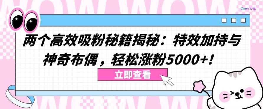 两个高效吸粉秘籍揭秘：特效加持与神奇布偶，轻松涨粉5000+【揭秘】-三月轻创
