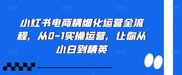 小红书电商精细化运营全流程，从0-1实操运营，让你从小白到精英-三月轻创
