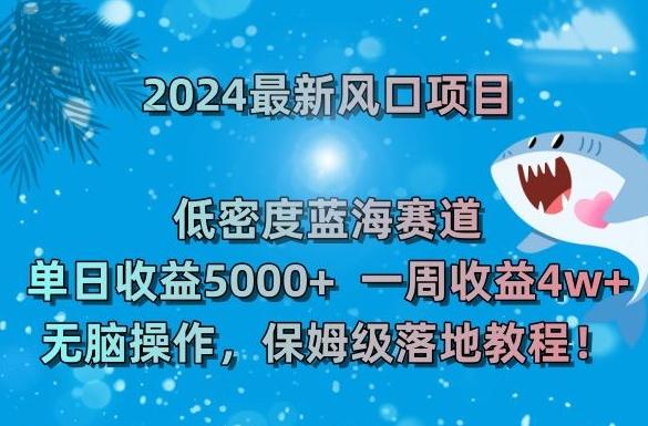 2024最新风口项目，低密度蓝海赛道，单日收益5000+，一周收益4w+！【揭秘】-三月轻创