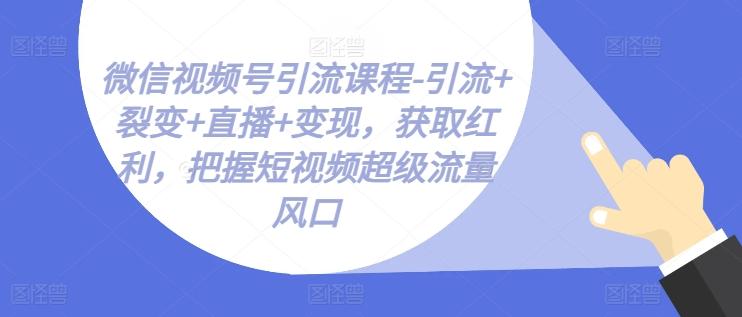 微信视频号引流课程-引流+裂变+直播+变现，获取红利，把握短视频超级流量风口-三月轻创