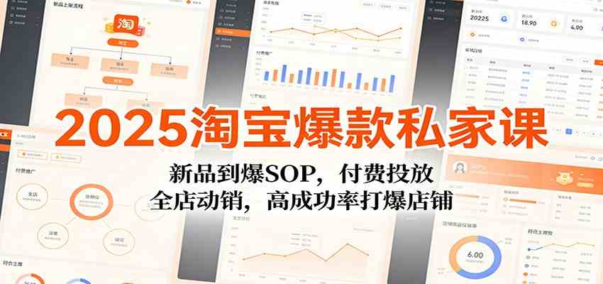 2025淘宝爆款私家课：新品到爆SOP，付费投放，全店动销，高成功率打爆店铺-三月轻创