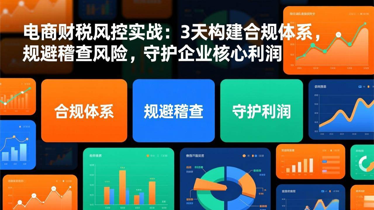 （17197期）电商财税风控实战：3天构建合规体系，规避稽查风险，守护企业核心利润-三月轻创