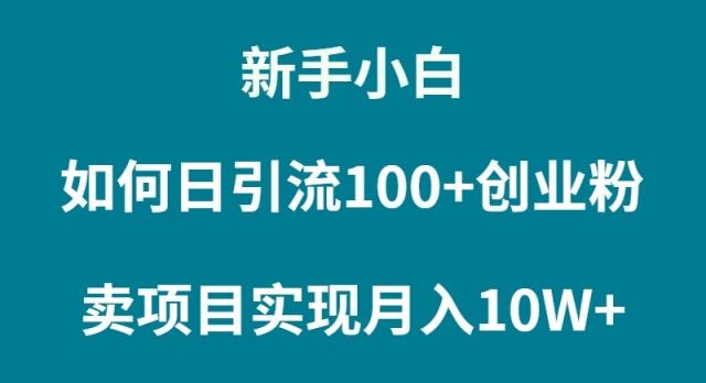 (9556期)新手小白如何通过卖项目实现月入10W+-三月轻创