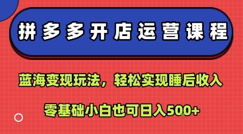 拼多多开店运营课程：蓝海变现玩法，轻松实现睡后收入，零基础小白也可日入5张-三月轻创