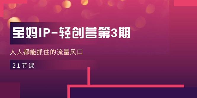 宝妈IP-轻创营第3期，人人都能抓住的流量风口(21节课-三月轻创