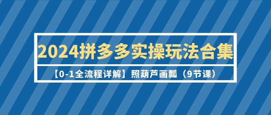 (9559期)2024拼多多实操玩法合集【0-1全流程详解】照葫芦画瓢(9节课)-三月轻创