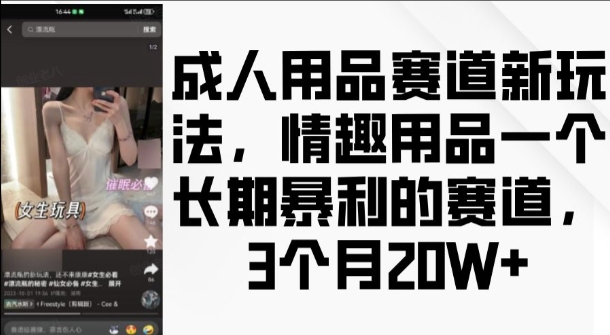 成人用品赛道新玩法，情趣用品一个长期暴利的赛道，3个月收益20个【揭秘】-三月轻创