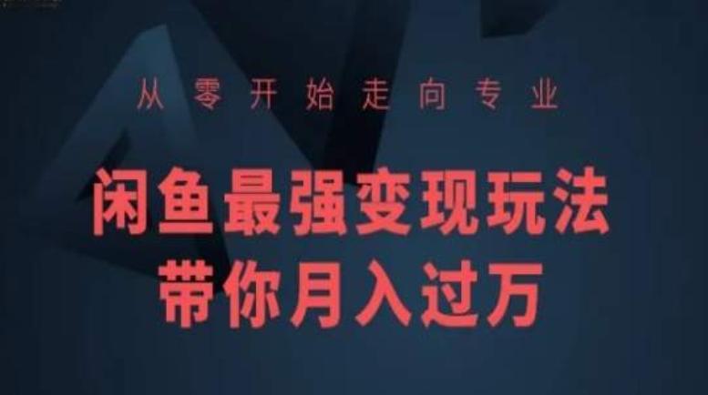 从零开始走向专业，闲鱼最强变现玩法带你月入过万-三月轻创