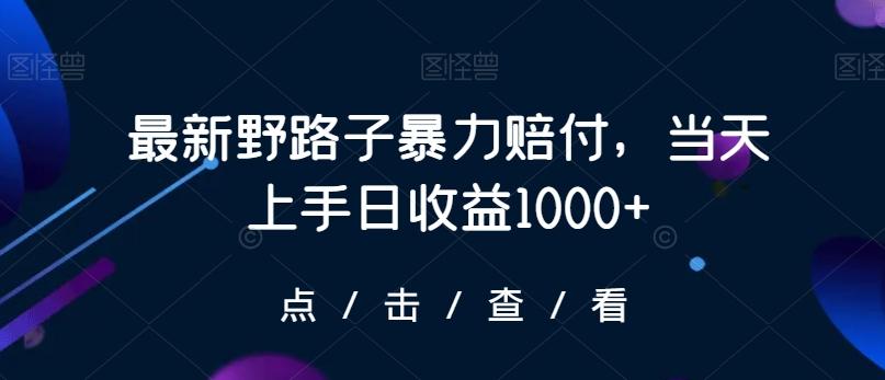 最新野路子暴力赔付，当天上手日收益1000+【仅揭秘】-三月轻创