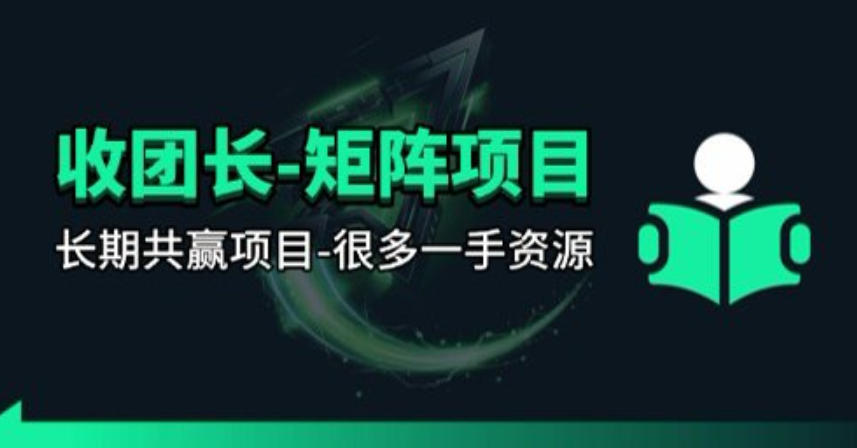 【团长合作】视频矩阵项目_招发手矩阵+剪辑师，共赢项目【揭秘】-三月轻创