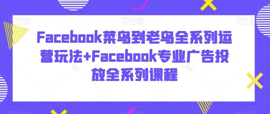 Facebook菜鸟到老鸟全系列运营玩法+Facebook专业广告投放全系列课程-三月轻创