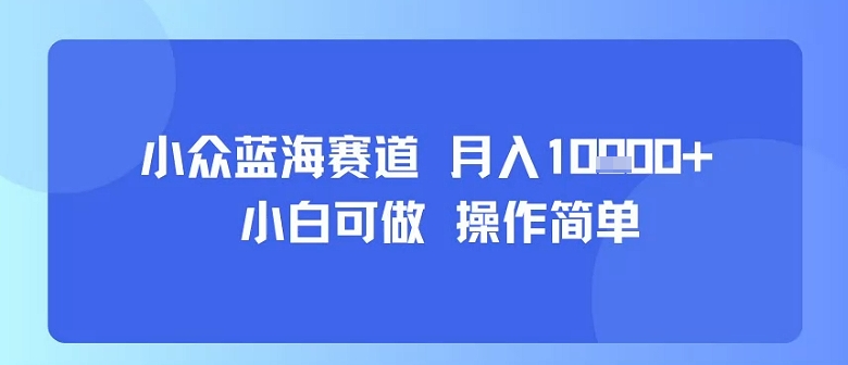 小众蓝海赛道，小白可做，操作简单，每天30分钟，月入1W+-三月轻创