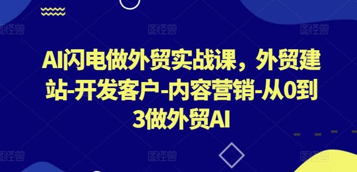 AI闪电做外贸实战课，​外贸建站-开发客户-内容营销-从0到3做外贸AI-三月轻创