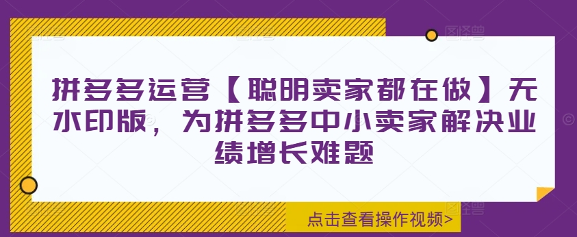 拼多多运营【聪明卖家都在做】无水印版，为拼多多中小卖家解决业绩增长难题-三月轻创