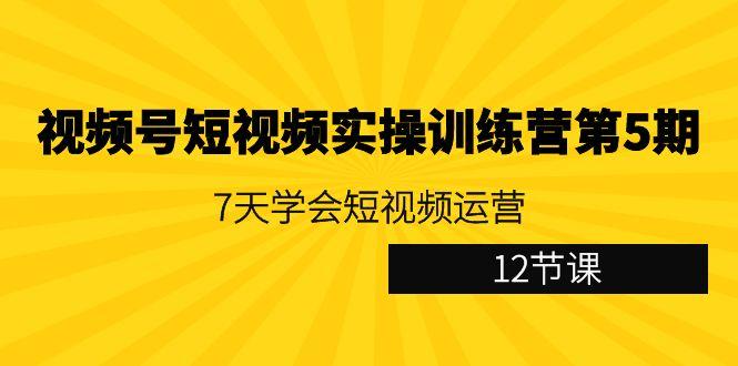视频号短视频实操训练营第5期：7天学会短视频运营(12节课)-三月轻创