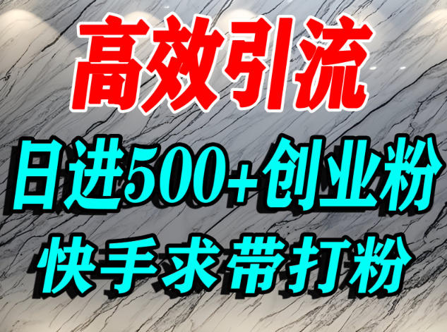 怎么打创业粉？快手求带视角精准引流创业粉，宝妈、学生群体日进500+精准流量-三月轻创