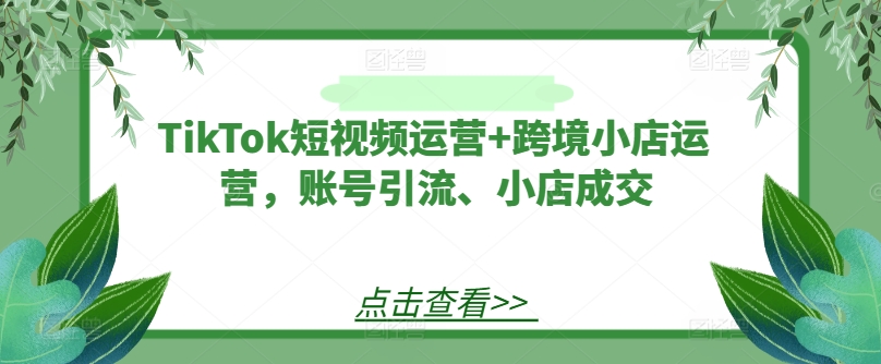 TikTok短视频运营+跨境小店运营，账号引流、小店成交-三月轻创