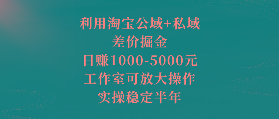利用淘宝公域+私域差价掘金，日赚1000-5000元，工作室可放大操作，实操...-三月轻创