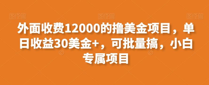 外面收费12000的撸美金项目，单日收益30美金+，可批量搞，小白专属项目-三月轻创