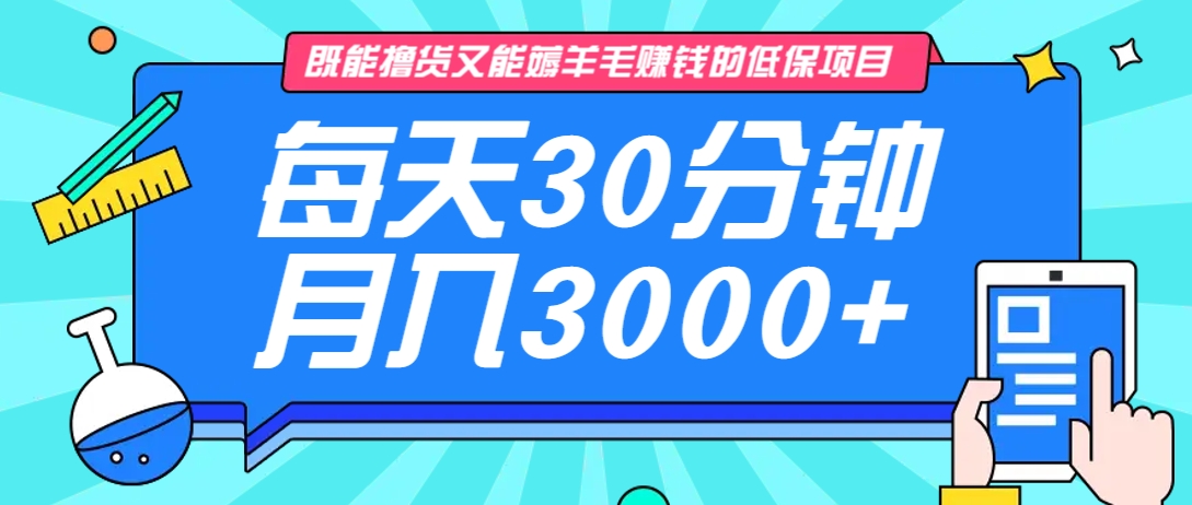既能撸货又能赚钱的长期低保项目，每天30分钟，多号百分百稳定月入3000+！-三月轻创