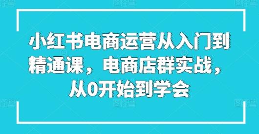 小红书电商运营从入门到精通课，电商店群实战，从0开始到学会-三月轻创