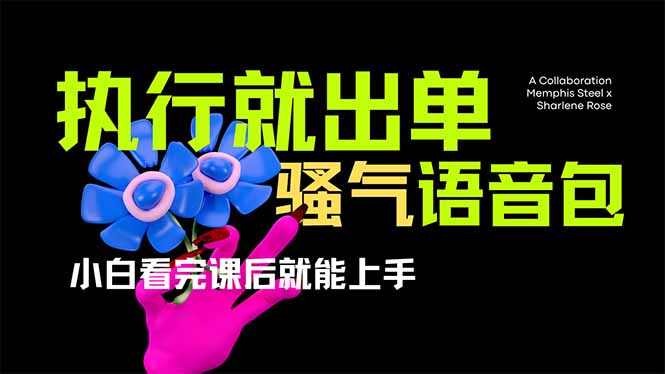 爆火全网的开车导航骚气语音包,只要执行就出单，小白看完课程就能实操…-三月轻创