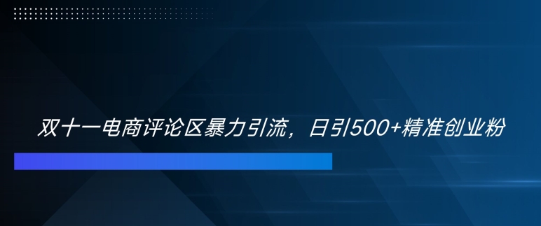 双十一电商评论区暴力引流，日引500+精准创业粉【揭秘】-三月轻创