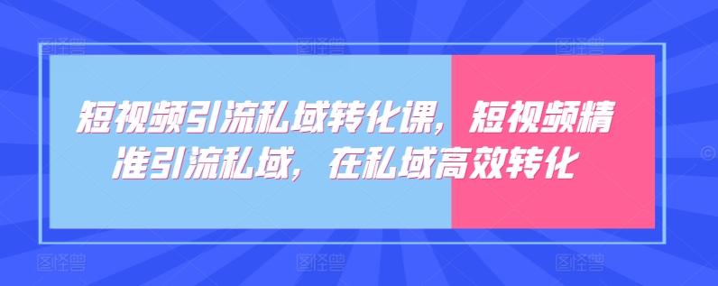 短视频引流私域转化课，短视频精准引流私域，在私域高效转化-三月轻创