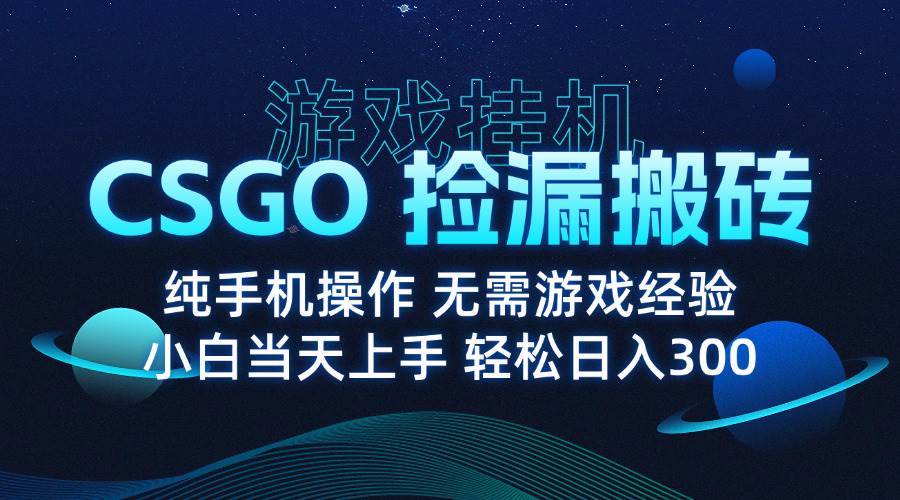 （15820期）8月最新游戏搬砖，CSGO纯挂机，不需要玩游戏，实现真挂机，月入1W+-三月轻创
