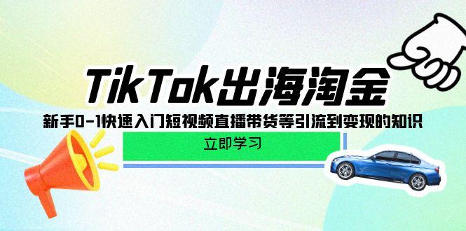 (10035期)TikTok-出海淘金，新手0-1快速入门短视频直播带货等引流到变现的知识-三月轻创