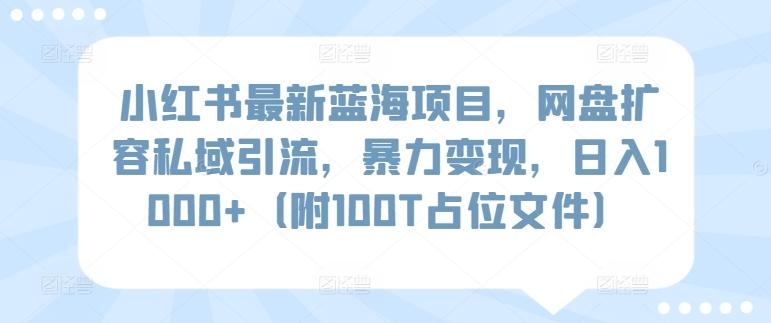 小红书最新蓝海项目，网盘扩容私域引流，暴力变现，日入1000+(附100T占位文件)【揭秘】-三月轻创